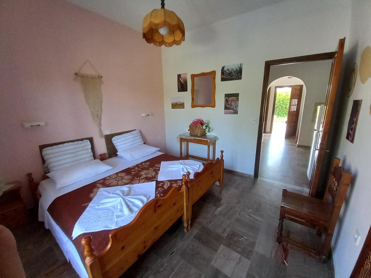 Serengeti Nap Comfy Rooms 斯达林 外观 照片