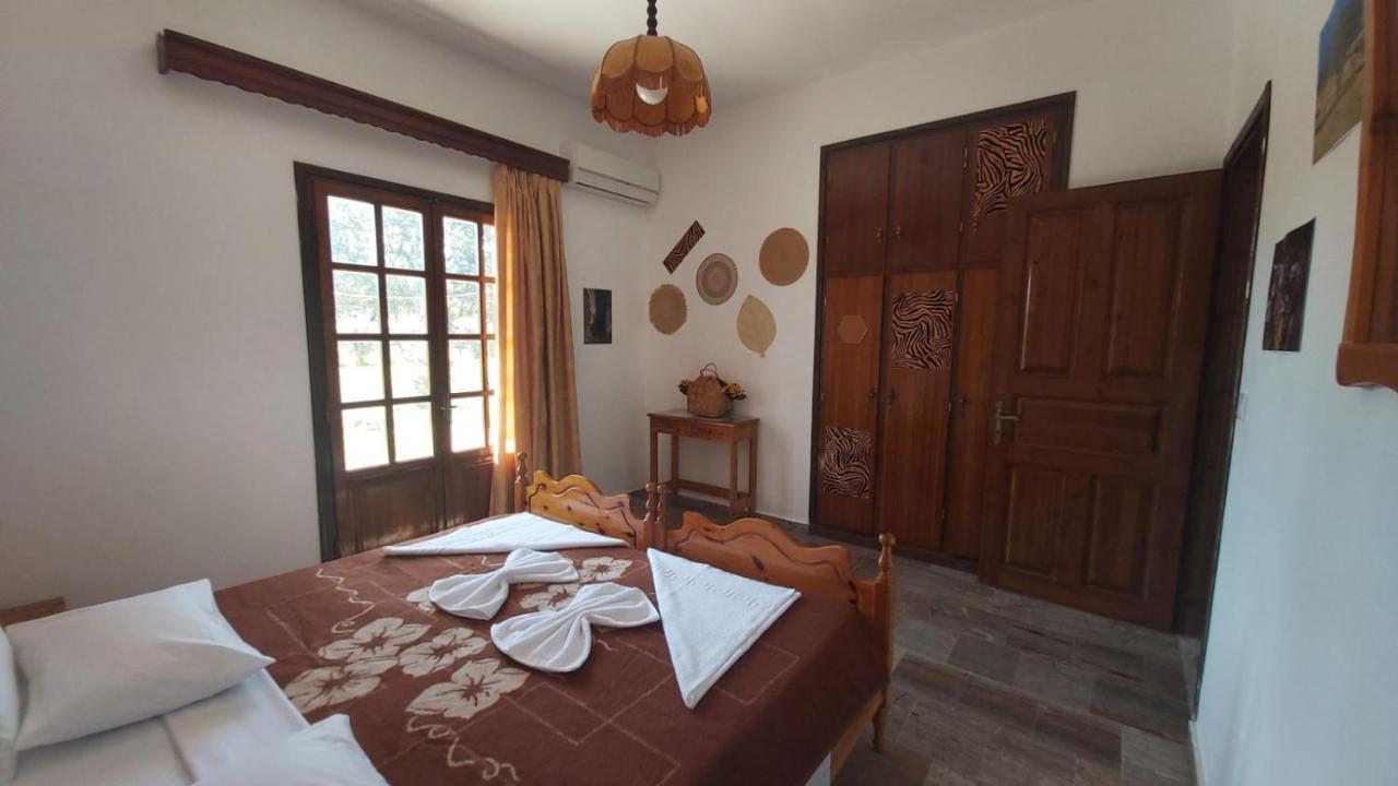 Serengeti Nap Comfy Rooms 斯达林 外观 照片