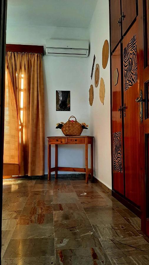 Serengeti Nap Comfy Rooms 斯达林 外观 照片
