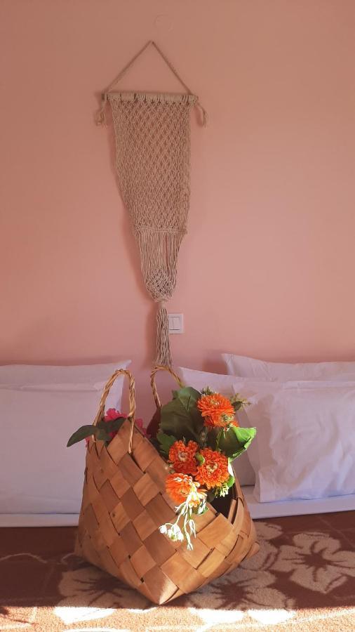 Serengeti Nap Comfy Rooms 斯达林 外观 照片